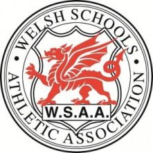 welsh_schools_logo.jpg